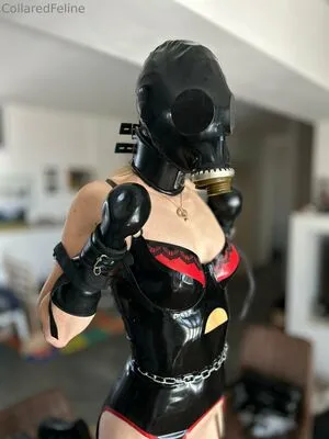 Collaredfeline OnlyFans Leaked Free Thumbnail Picture - #J3GblBntx9