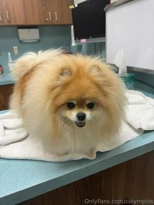 Colympios OnlyFans Leaked Free Thumbnail Picture - #F7MBV2Ojxn