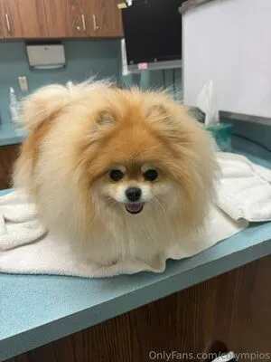 Colympios OnlyFans Leaked Free Thumbnail Picture - #Xsy1JaqznB