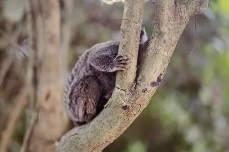 Combustivel Sem Imposto OnlyFans Leaked Free Thumbnail Picture - #MeI1P9Ubsj