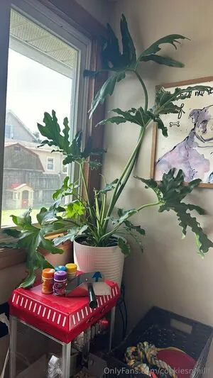 Cookiesnmillf OnlyFans Leaked Free Thumbnail Picture - #ZjQTiojgOd