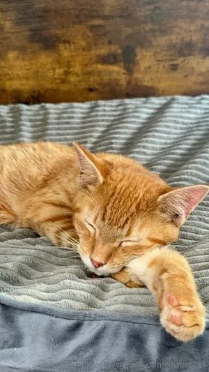 Coshott234 OnlyFans Leaked Free Thumbnail Picture - #2SIJOUsT88