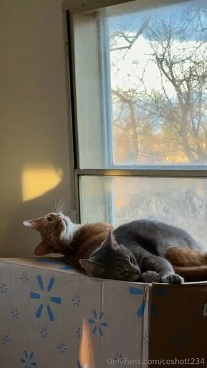 Coshott234 OnlyFans Leaked Free Thumbnail Picture - #Pdzq3L2kVA