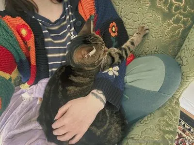 Cottonsox OnlyFans Leaked Free Thumbnail Picture - #IkJxOO39ha