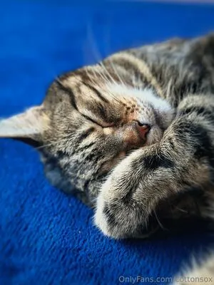 Cottonsox OnlyFans Leaked Free Thumbnail Picture - #laT9wLmTtR