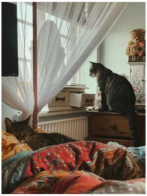 Cottonsox OnlyFans Leaked Free Thumbnail Picture - #mOIUnuo2B9