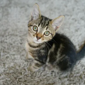 Cottonsox OnlyFans Leaked Free Thumbnail Picture - #yn76UB1A3F