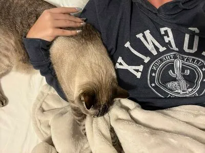 Courtney Knill OnlyFans Leaked Free Thumbnail Picture - #67zd6SFAC1