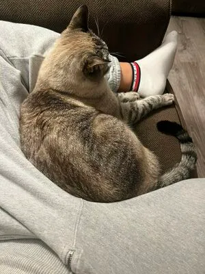 Courtney Knill OnlyFans Leaked Free Thumbnail Picture - #YgjCYuiMoU