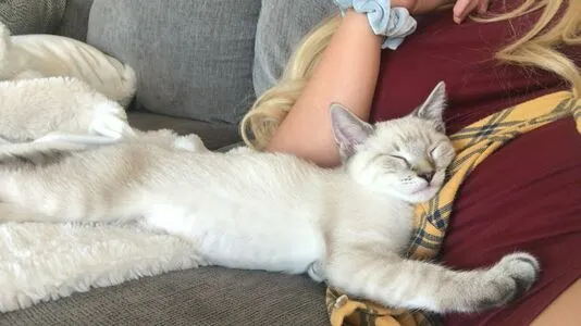 Courtney Knill OnlyFans Leaked Free Thumbnail Picture - #oi5UqbfdhC