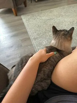 Courtney Knill OnlyFans Leaked Free Thumbnail Picture - #udmUQqjcar