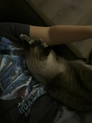 Courtney Knill OnlyFans Leaked Free Thumbnail Picture - #wheDg4kbsz