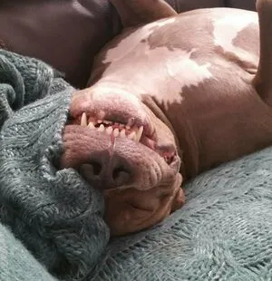 Courtneyhansen OnlyFans Leaked Free Thumbnail Picture - #JCchPAZRHo