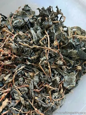 Craftingwithcoco OnlyFans Leaked Free Thumbnail Picture - #1wUemqkf2m