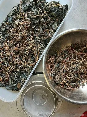 Craftingwithcoco OnlyFans Leaked Free Thumbnail Picture - #5QiXqzUp3R