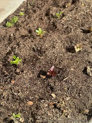 Craftingwithcoco OnlyFans Leaked Free Thumbnail Picture - #E5Et3mgRSt