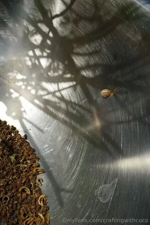 Craftingwithcoco OnlyFans Leaked Free Thumbnail Picture - #KpAvYMDo4c