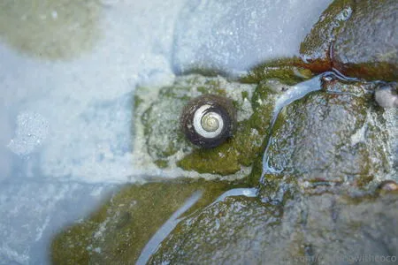 Craftingwithcoco OnlyFans Leaked Free Thumbnail Picture - #cYDC3Row7y