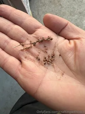 Craftingwithcoco OnlyFans Leaked Free Thumbnail Picture - #go8jRieS09