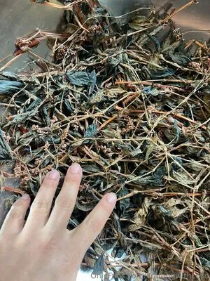 Craftingwithcoco OnlyFans Leaked Free Thumbnail Picture - #kR9mg75PBP