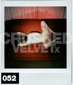 Crushedvelvetx OnlyFans Leaked Free Thumbnail Picture - #RgujJVi5aI