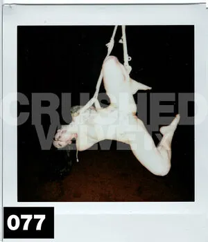 Crushedvelvetx OnlyFans Leaked Free Thumbnail Picture - #mE8Y2pxA8l