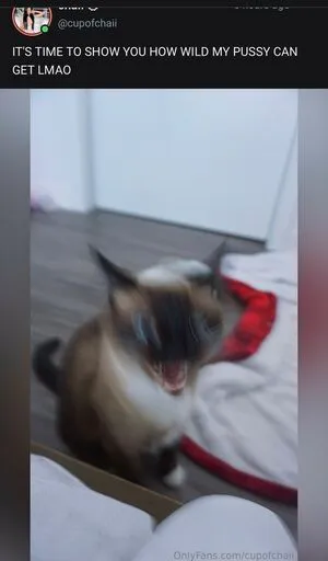 Cupofchaiii OnlyFans Leaked Free Thumbnail Picture - #baNbCPeKkz