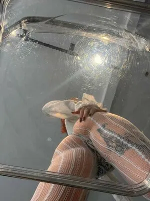 cutemeow OnlyFans Leaked Free Thumbnail Picture - #ly8xuBKLAX