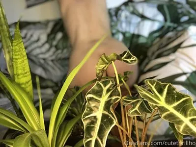 Cutethrillho OnlyFans Leaked Free Thumbnail Picture - #8ueU2UzJJg