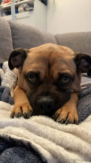 Cutielifeguard OnlyFans Leaked Free Thumbnail Picture - #vwvTKWp9Jq