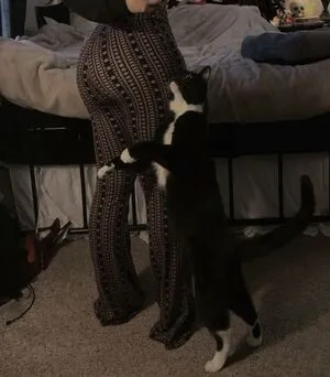 Cyb4rangel OnlyFans Leaked Free Thumbnail Picture - #obea7Mpzm7