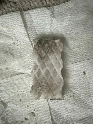 D3athstarofdavid69 OnlyFans Leaked Free Thumbnail Picture - #sqYIgGrp8I