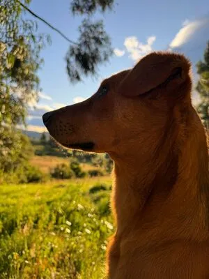 Daddy OnlyFans Leaked Free Thumbnail Picture - #ZZrpwrKbMF