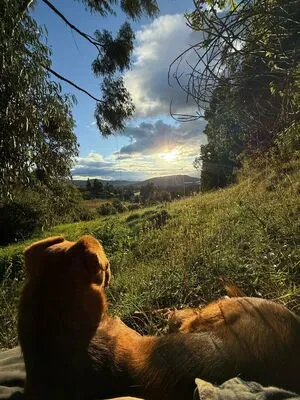 Daddy OnlyFans Leaked Free Thumbnail Picture - #fBavo0i2NR