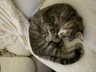 Dahnikz OnlyFans Leaked Free Thumbnail Picture - #6pOmQUNIwt