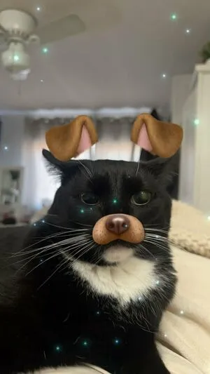 Dahnikz OnlyFans Leaked Free Thumbnail Picture - #ENLmevABdN