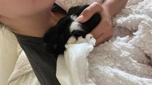 Dahnikz OnlyFans Leaked Free Thumbnail Picture - #En8gpLBDWT