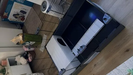 Dahnikz OnlyFans Leaked Free Thumbnail Picture - #GHmpLhVfze