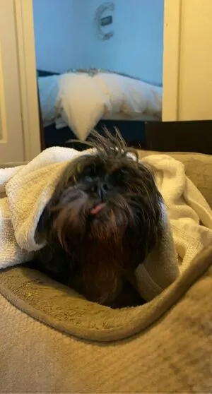 Dahnikz OnlyFans Leaked Free Thumbnail Picture - #HqxQJ3Gk93