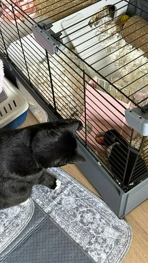 Dahnikz OnlyFans Leaked Free Thumbnail Picture - #JvZ38Hk2SD