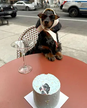 Dahnikz OnlyFans Leaked Free Thumbnail Picture - #LomxAHs46o