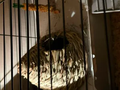 Dahnikz OnlyFans Leaked Free Thumbnail Picture - #WpxY4wM6ei