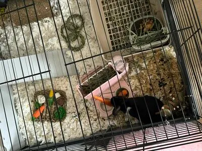 Dahnikz OnlyFans Leaked Free Thumbnail Picture - #YPS5Mw3k7g