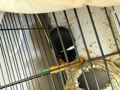 Dahnikz OnlyFans Leaked Free Thumbnail Picture - #gKPpzsjyJu