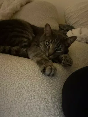 Dahnikz OnlyFans Leaked Free Thumbnail Picture - #nUEpfLrQ3n