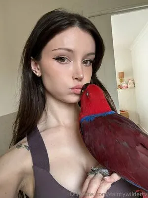 Daintywildertv OnlyFans Leaked Free Thumbnail Picture - #5oJtGbM0LL