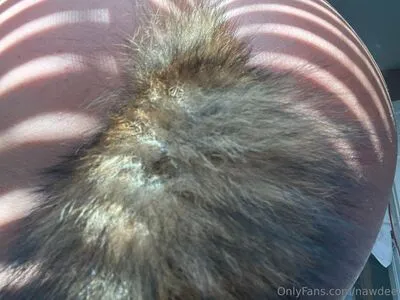 Daisea4free OnlyFans Leaked Free Thumbnail Picture - #y32EKeR7Mo