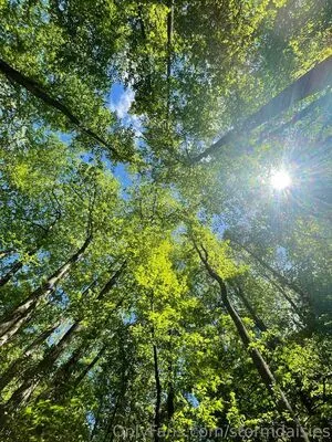 Daisy Rae OnlyFans Leaked Free Thumbnail Picture - #q5f6B6cUTV