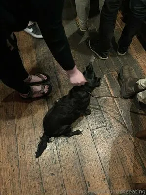 Damarisbeeating OnlyFans Leaked Free Thumbnail Picture - #rrSJff5ZkF