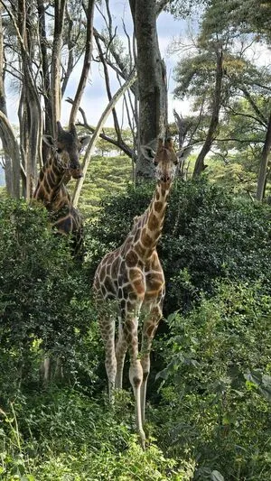 Danahamm OnlyFans Leaked Free Thumbnail Picture - #iCG7VkCDL9